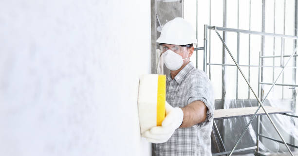 Best Post-Construction Mold Inspection in USA